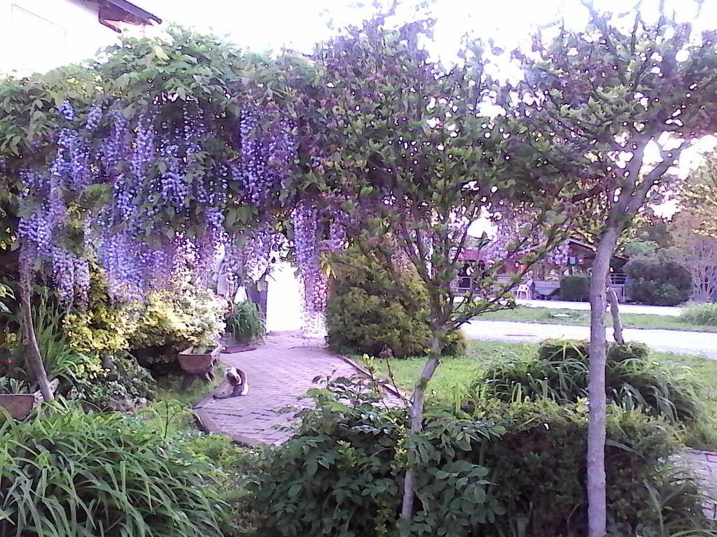 B&B Cm Ranch Cuneo Zewnętrze zdjęcie